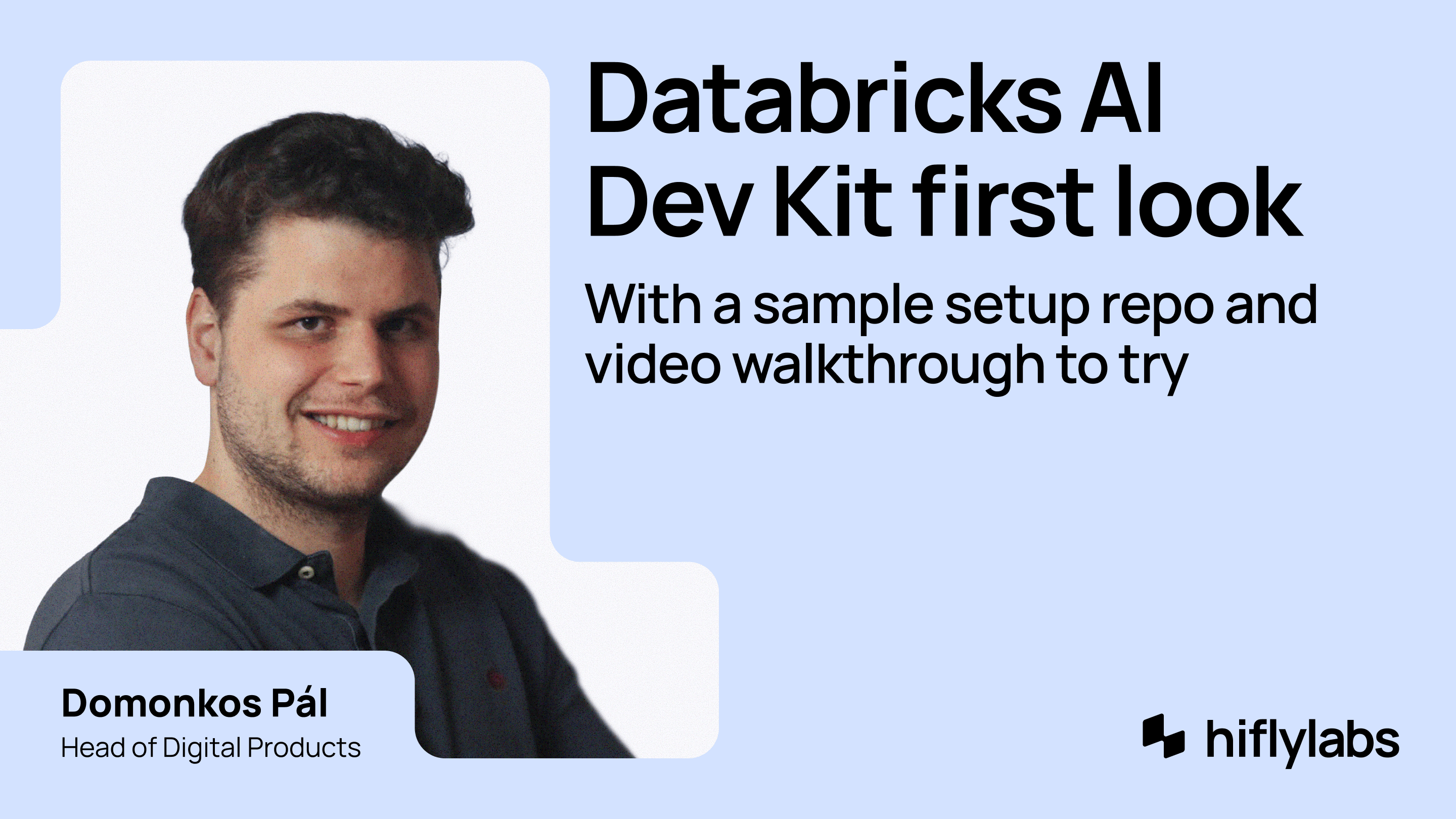 Databricks AI Dev Kit cover